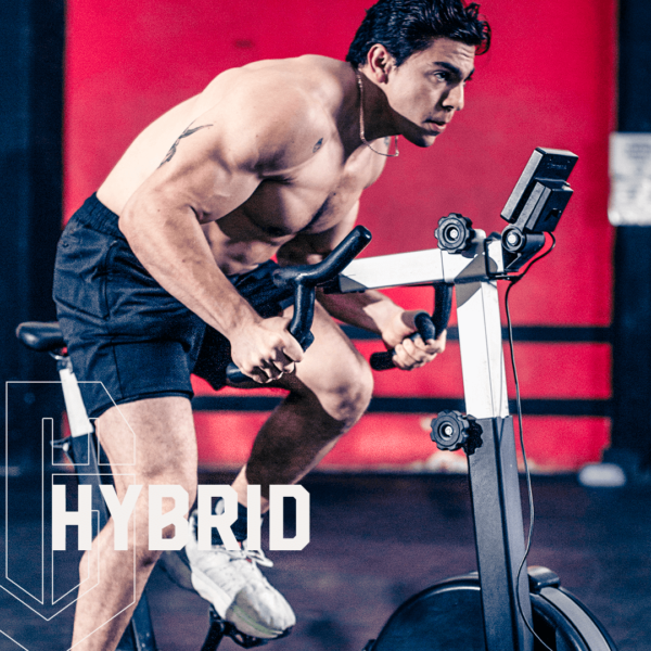 LOMM Hybrid