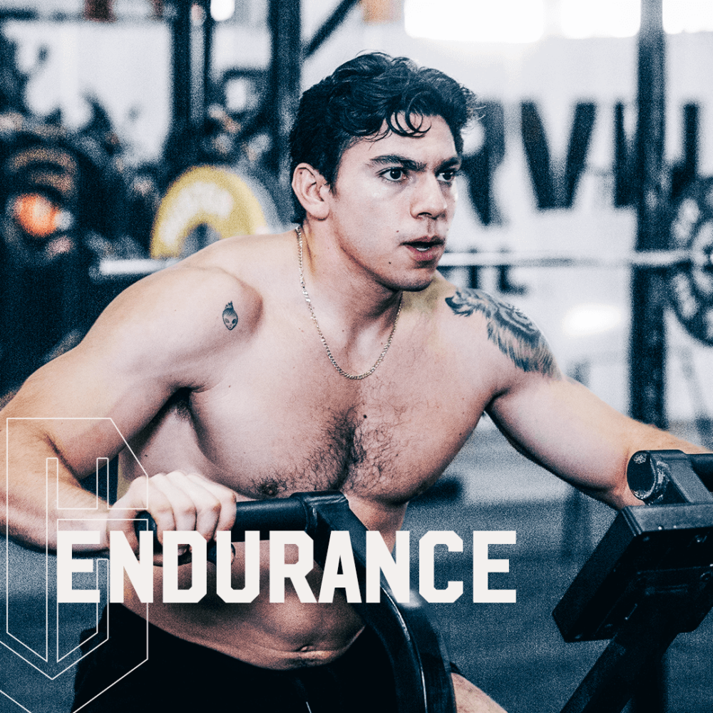 LOMM ENDURANCE