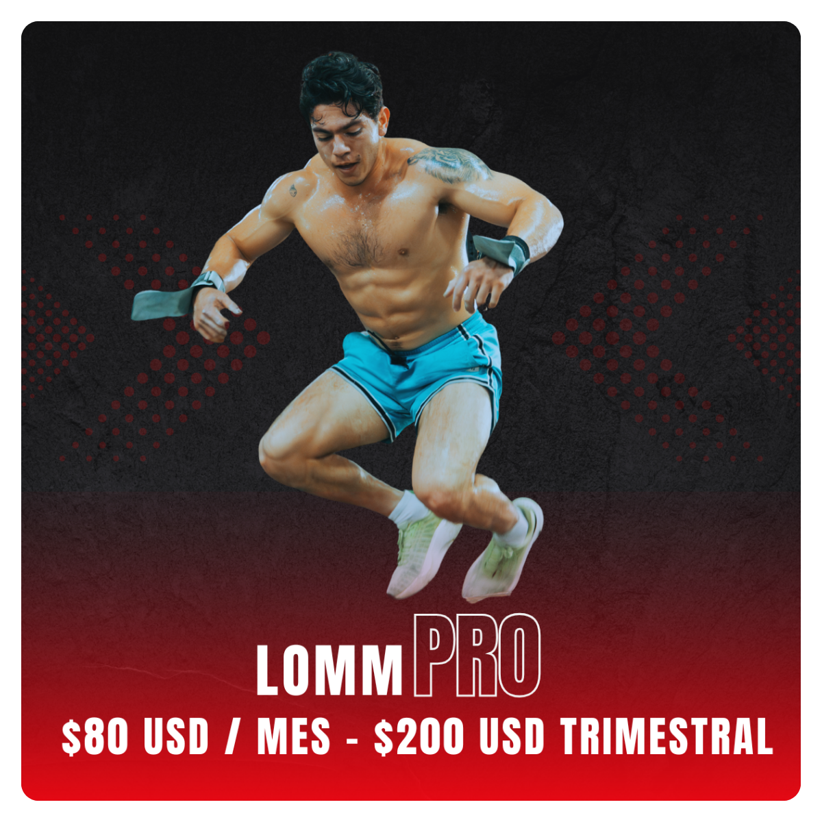 LOMM PRO馃挭馃徎