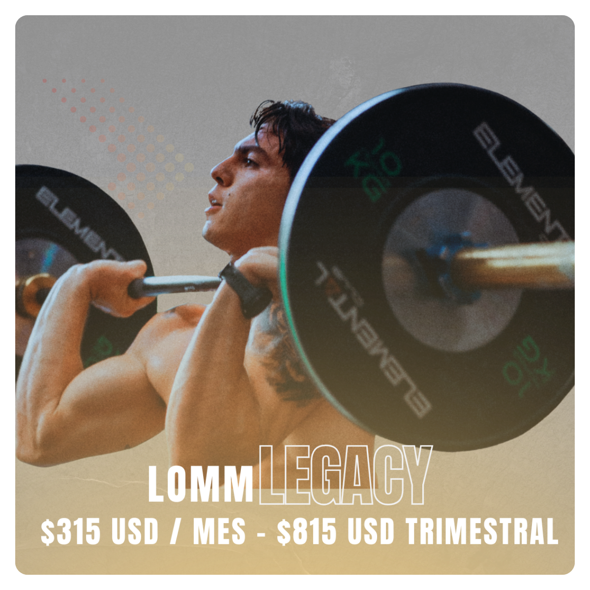 LOMM LEGACY馃挭馃徎